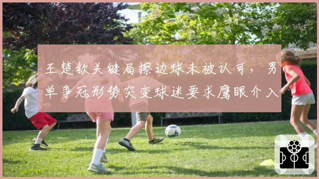王楚钦关键局擦边球未被认可,男单争冠形势突变球迷要求鹰眼介入
