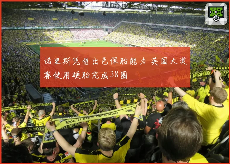 诺里斯凭借出色保胎能力 英国大奖赛使用硬胎完成38圈