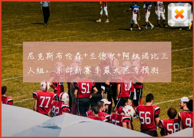 尼克斯布伦森+兰德尔+阿奴诺比三人组,东部新赛季最大黑马预测